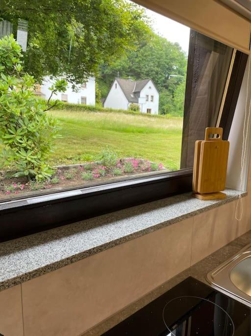 Appartement Zur Wied Oberlahr Kültér fotó
